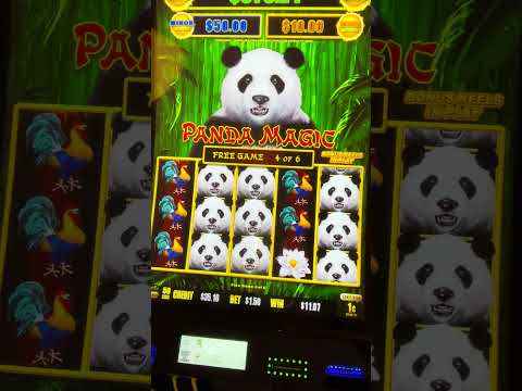 Ultimate Guide to Casino Spinpanda A Thrilling Gaming Experience Ultimate Guide to Casino Spinpanda A Thrilling Gaming Experience