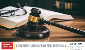 The Rise of Global Law Firms in the Age of Internationalization The Rise of Global Law Firms in the Age of Internationalization