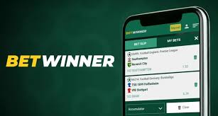BetWinner Casino Your Ultimate Gaming Destination BetWinner Casino Your Ultimate Gaming Destination
