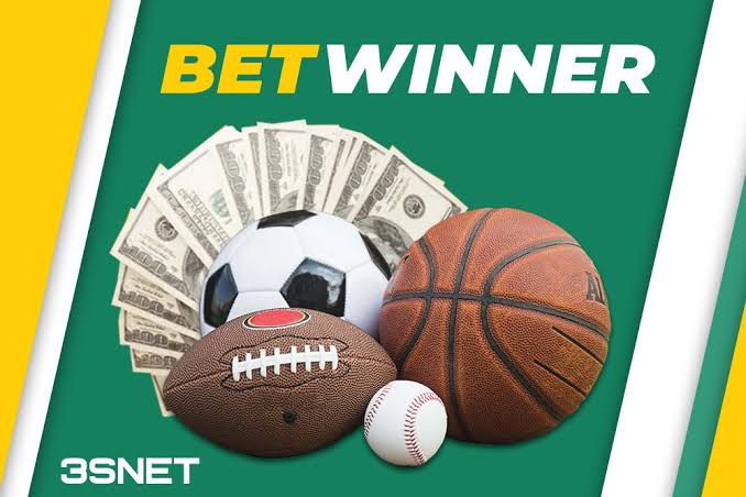 BetWinner Online Gambling Platform Your Ultimate Betting Experience